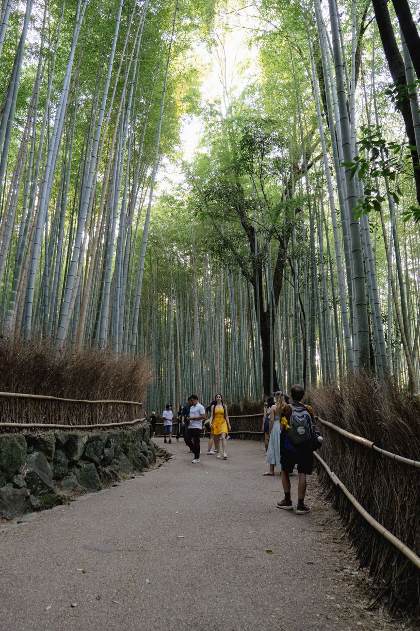 Misty forested peaks in Kyoto